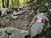 90 In decisa discesa sul sent. 507A nella Valle di Stabello 